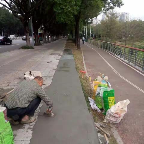 中心公园拆除围墙后的后续工作