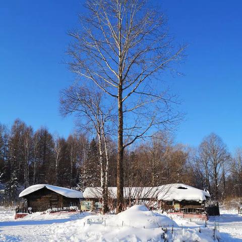 2020年元旦雪乡游