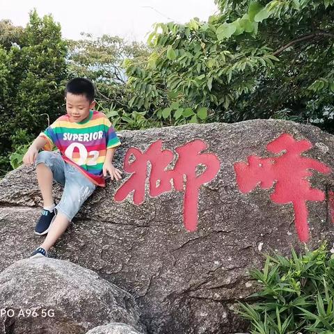 104班杨芸涛暑假德育作业