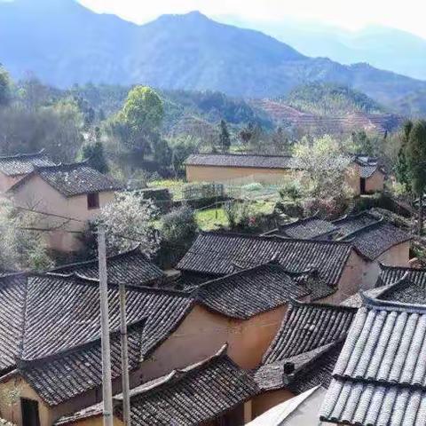 黄处印象