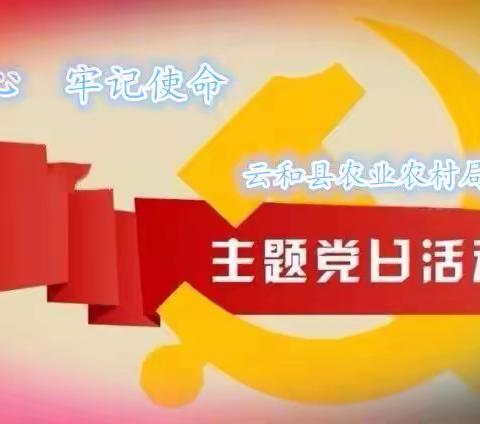 8月主题党日活动记