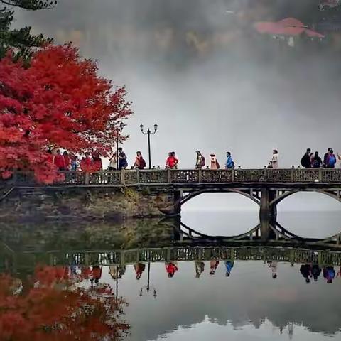 繁花落尽时，匡山秋意浓
