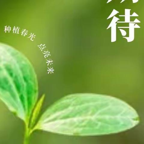 点燃绿色梦想，共“植”美好明天 —— 记朱古洞中心幼儿园植树节主题活动