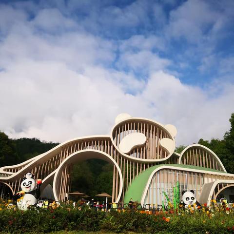 今天是小长假最后一天，游都江堰熊猫谷，用照片记录呆萌憨态的大小熊猫一天的生活，萌萌的真可爱🐼🐼🐼