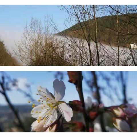 用心做一杯好茶，等你