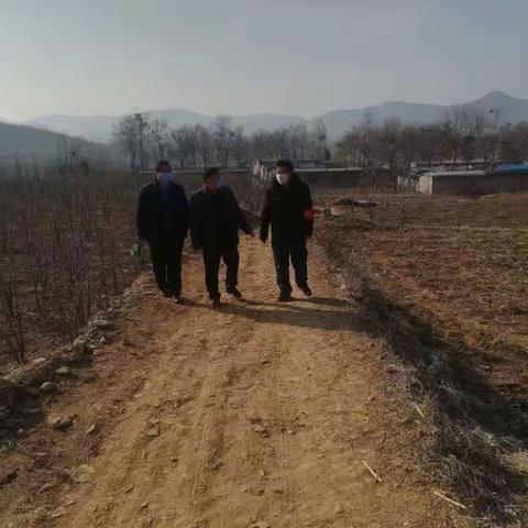 疫情期间，赵镇长，司主席陈站长第一书记，到谷邑农场指导生产，以及销售问题，并切指导下一步的发展方向及思路。