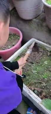 一年级2班第9周劳动作业