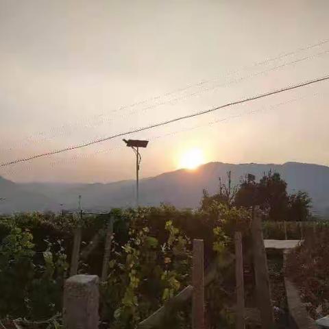 四月天因你更美好（副本）