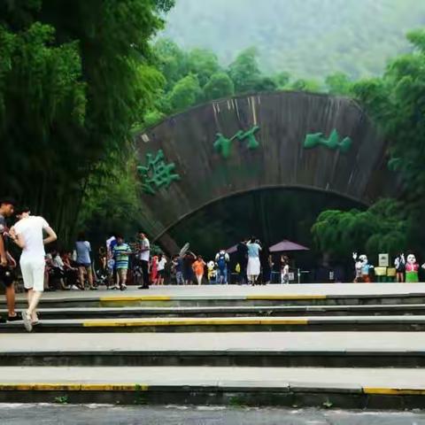 南山竹海