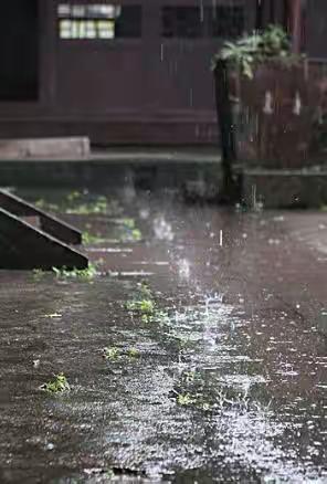 清明夜阑听雨声