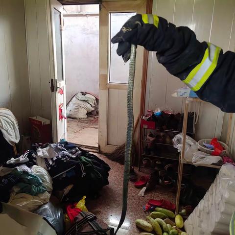 居民家中惊现长蛇，看消防员“花式”抓蛇