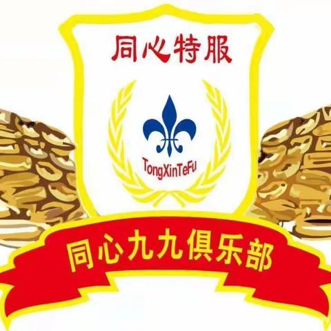同心九九俱乐部骑游协全体队员参加同心文体协会和平公园第十五届公园一园一品第七届樱花节专场演出活动