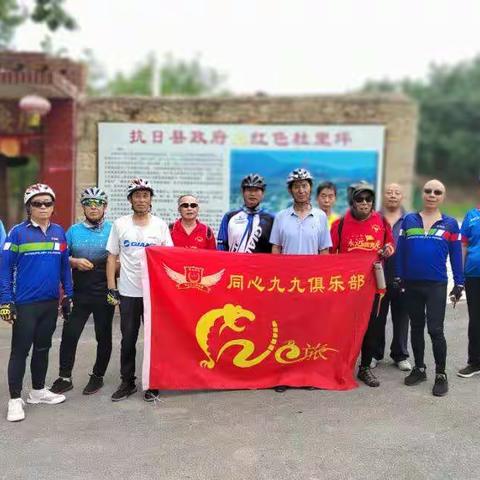 东海的美篇