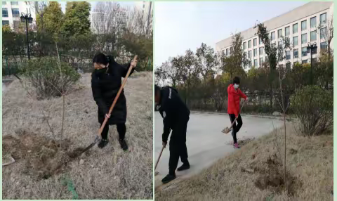 单县档案馆开展植树节活动