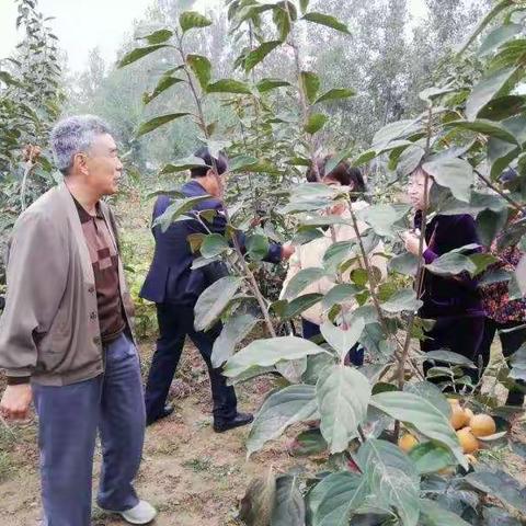 “不忘初心帮富农民  牢记使命振兴乡村” 单县档案馆在行动