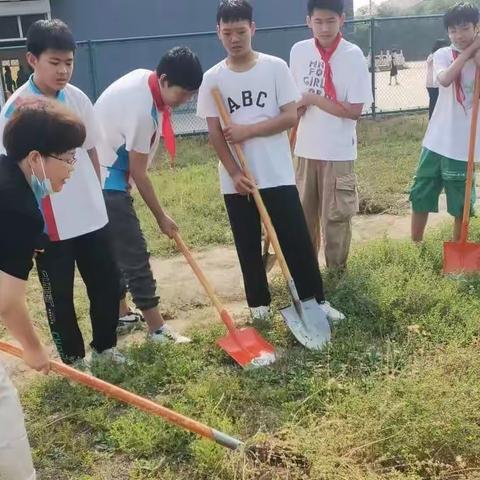 “劳动砺心志 实践促成长”～南町中心校劳动实践篇二（学会使用劳动工具）