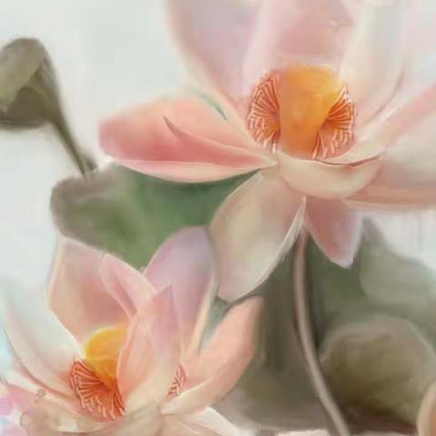 第十七期横道镇中心幼儿园中班线上教育