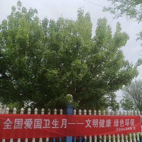 文明健康  绿色环保