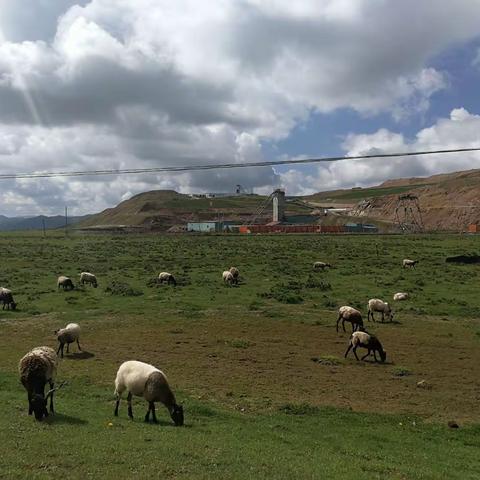 我们的临夏露营地