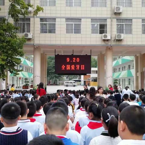 解放路小学：健康每一天，从爱牙开始