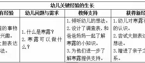 寒露至，秋意浓——银通幼儿园节气活动