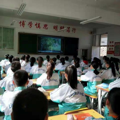 青山缭绕疑无路，忽见千帆隐映来 ——记首次阅读研究课《走进〈西游记〉》