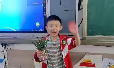 我的植物  我来养