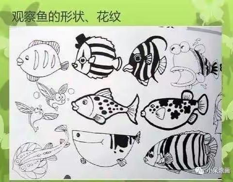 大鱼和小鱼