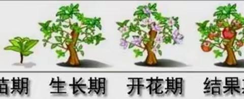 长呀长