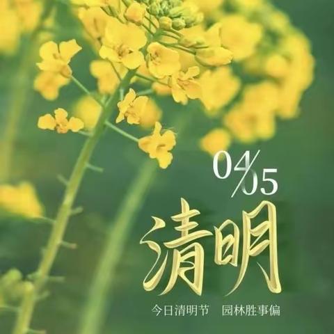 学习清明文化 祭奠缅怀英雄——白水小学“清明节”系列活动〈三〉