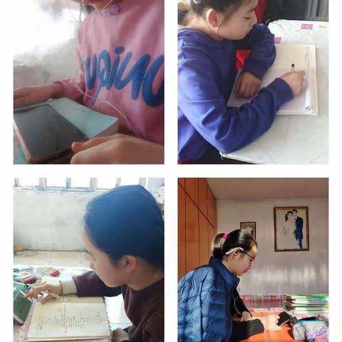 线上沟通学习，师生共同促进步