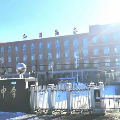 柴岗初级中学“扫黑除恶”活动工作总结