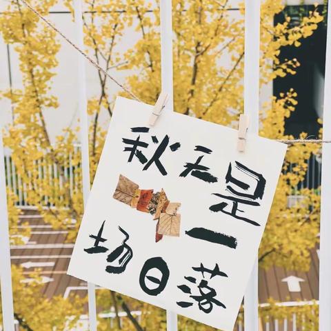 秋天是一场落日——洞头区教育第三幼儿园大二班十一月记事