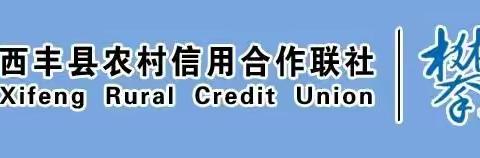 西丰联社开展“普及金融知识 提升金融素养 共建清朗网络 共享美好生活 ”金融知识宣教活动