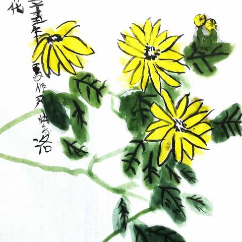 水墨国画班—《菊花》