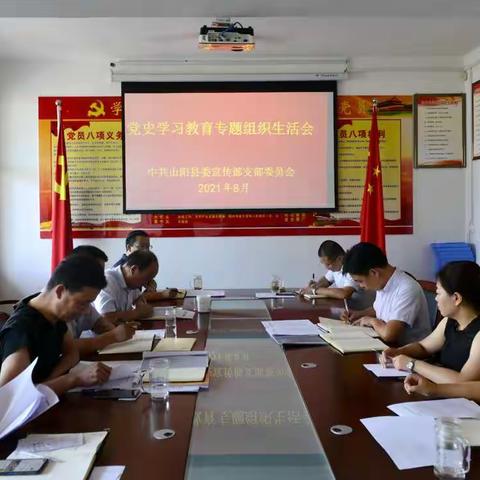 山阳县委宣传部党支部召开党史学习教育专题组织生活会