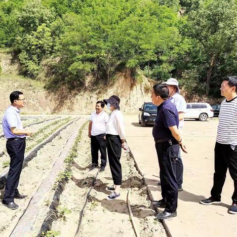 榆林市农科院领导、专家来甘谷驿镇学习交流