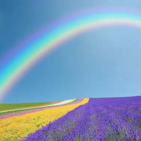 拓维并举  深耕市场（记黄梅支行商户外拓活动六）