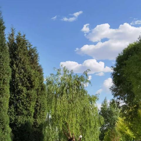 我们都在阳光下