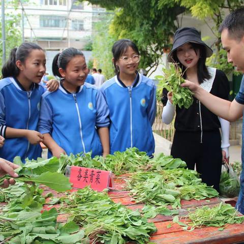 三中田园丰收了！——夏季田园采摘活动暨优秀作文选
