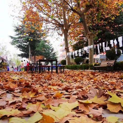 梧桐生矣   于彼朝阳，——天水市三中举办第二届“梧桐·秋韵”校园艺术节