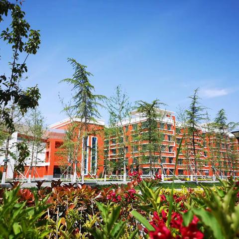 美爆了，我的三中！