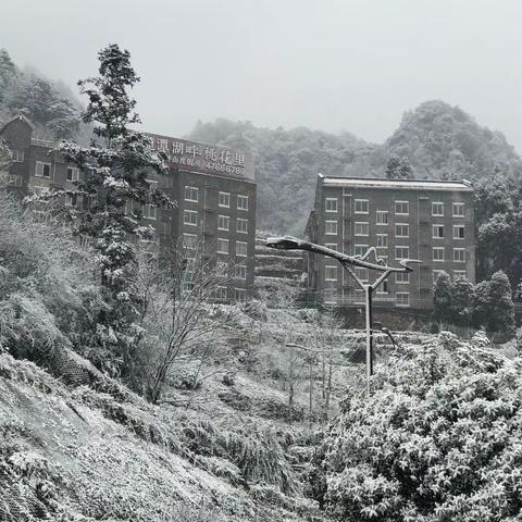 四面山的第一场雪