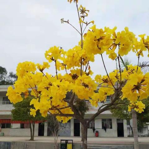 心系家乡  情系教育，——记杨耀初先生奖教奖学颁奖仪式