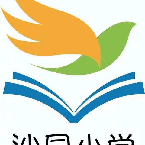 停课不停学，我们在行动——沙园小学网络授课纪实