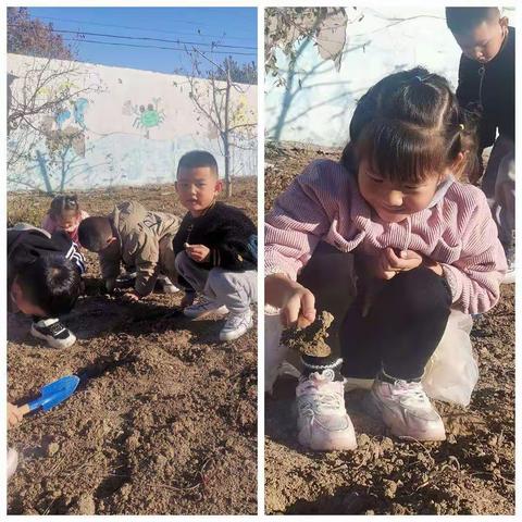 新军屯镇河浃溜幼儿园教育随笔——一颗花生