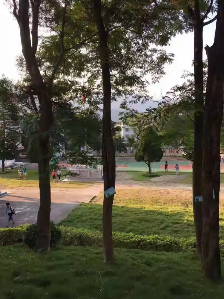 饶平县上饶中学第28届初三