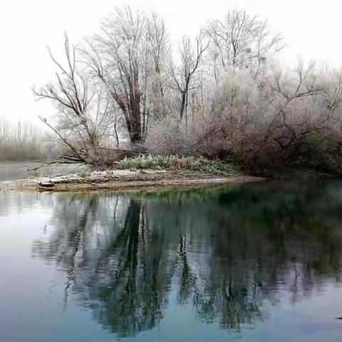 Blanche de givre