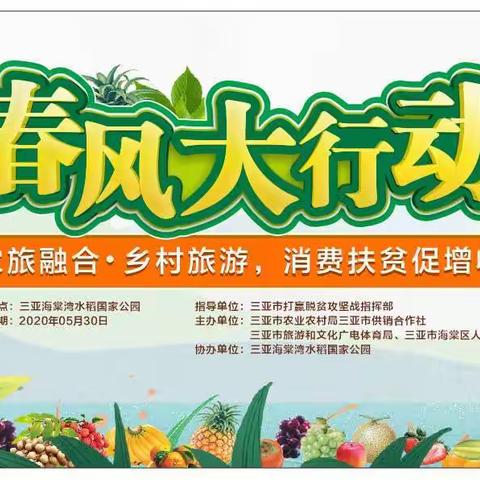 参与消费扶贫—水稻国家公园免费游