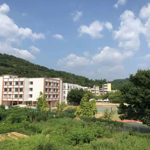 2018秋季顶岗实习（德庆高良中心小学第三周）